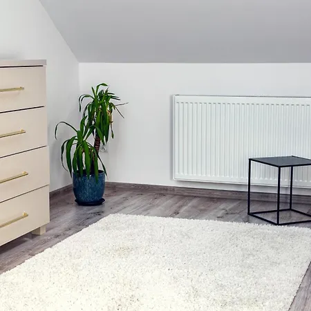 Przy Stoku Apartment Tylicz